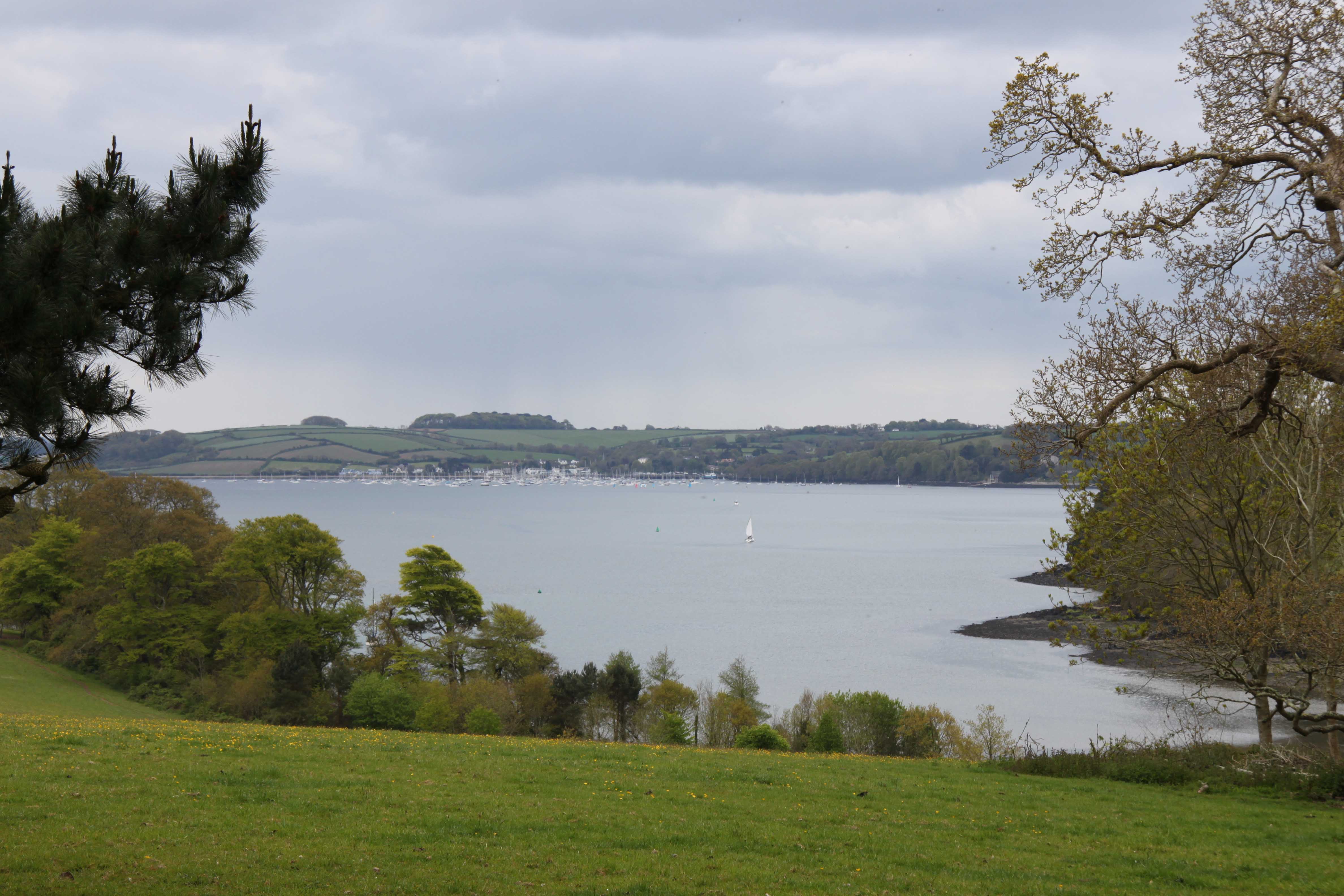 Photo of a view of Carrick Roads from Trelissick Garden, Cornwall (IMG_0650x.jpg)